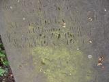 image of grave number 141444